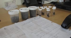Ecologists Data Sheets And Carcasses For Fly Trap Experiment 768x412