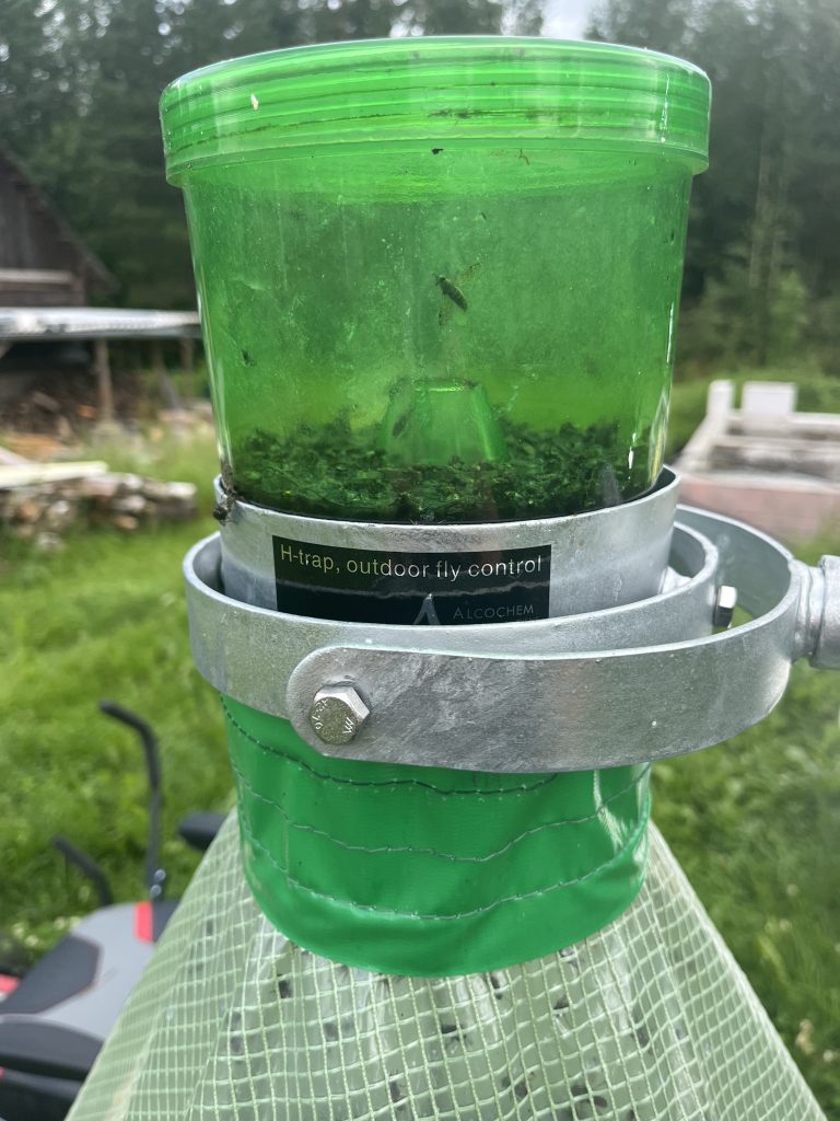 Comparison of Adult Horse Fly Collections in Massachusetts (2016)