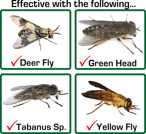 Kills Deer Fly, Green Head, Tababus Sp., Yellow Fly