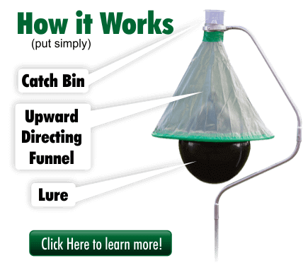 Homemade horse fly deals trap